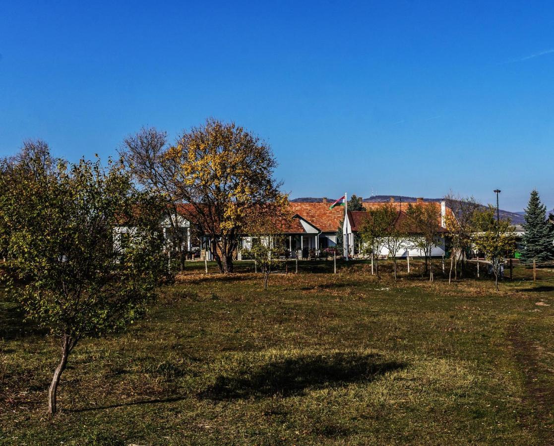 Csokas Birtok Panzio, Boraszat Es Palinkafozde Gyongyos Exterior photo